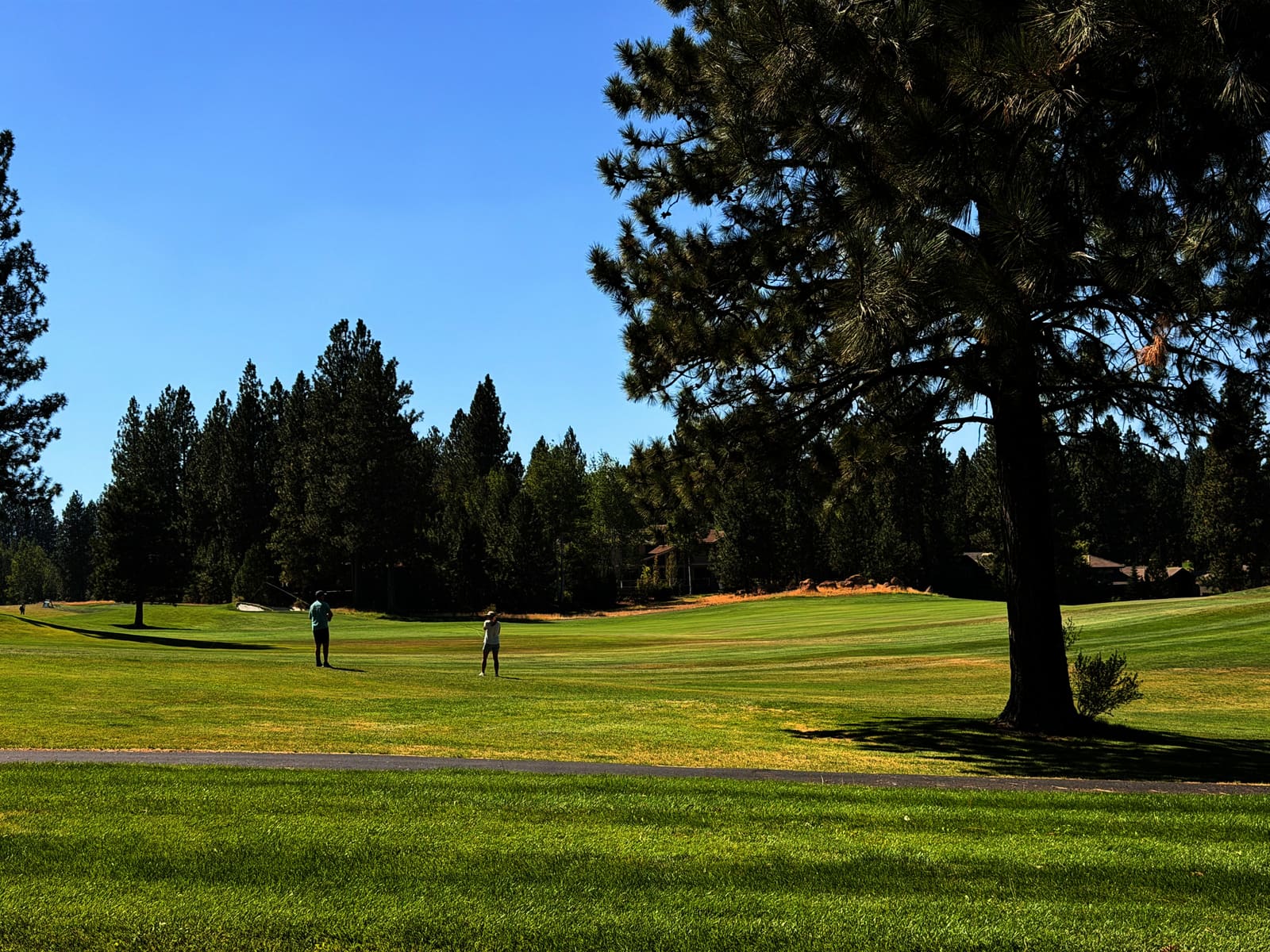 Golf course view near Bend, Oregon with mountains in the background